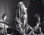 the fauves home video