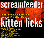 screamfeeder kitten licks tour